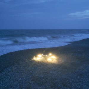 逍遥绳艺李然在线视频
