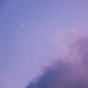 逍遥绳艺李然在线视频
